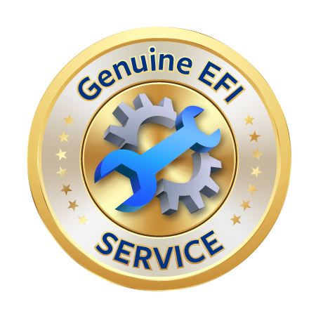Genuine EFI Service